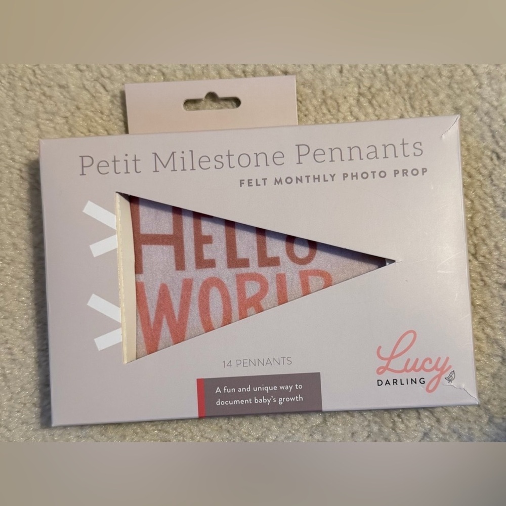 Darling Petit Milestone Pennants - Pink Felt Monthly Photo Prop